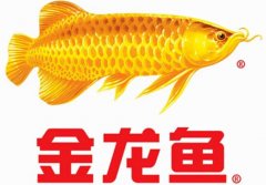 金龍魚到底是不是中國企業(yè)？為什么會入選國家品牌？