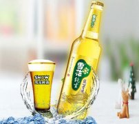 什么是雪花純生啤酒？
