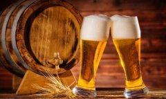酒精可以消滅螞蟻嗎？(啤酒可以驅(qū)趕螞蟻嗎?)
