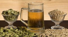 如何選擇適當的啤酒麥芽浸麥方法？